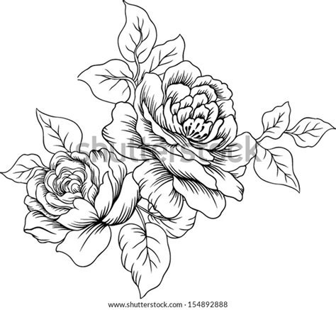 Lined Vector Flowers Rose Stock Vector Royalty Free 154892888