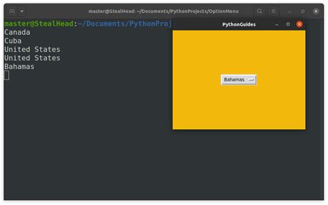 Python Tkinter OptionMenu Complete Tutorial Python Guides