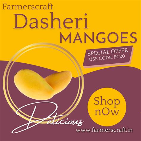 Dasheri Mangoes 45kg A1 Natural Grown Mangoes Farmerscraft