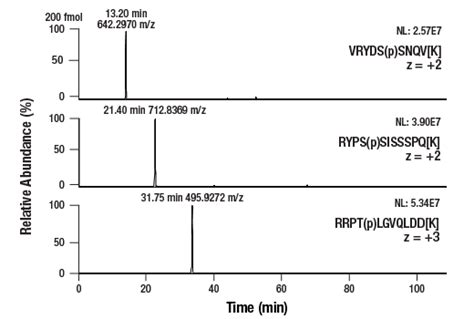 Ptmscan Control Peptides Phospho Akt Rxxs T Cell Signaling