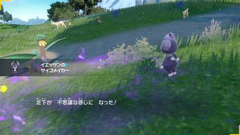 ポケモンsvのフィールドに関する特性の解説と仕様について ポケモン成長日和 〜集えポケモントレーナー〜