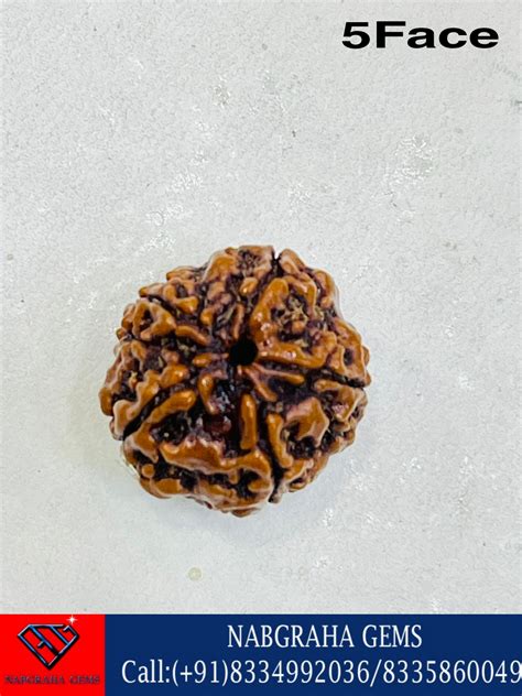 Natural Rudraksha Beads Nepali