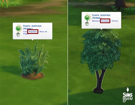 Los Sims 4 Cómo revivir a un Sim fantasma con Ambrosía Simsguru