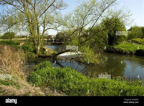 peaceful section   river stort  hertfordshire england stock