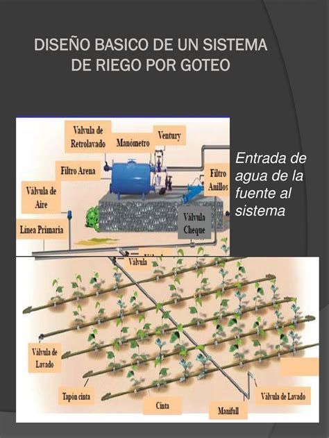 Ppt Instalaci N Y Mantenimiento De Riego Por Goteo Powerpoint