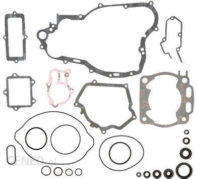 Cz Ci Motocyklowe Prox Komplet Uszczelek Z Kompletem Uszczelniaczy