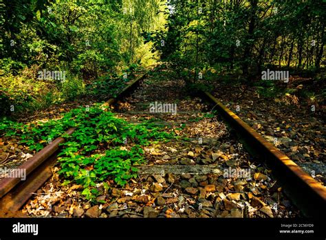 Unused Railroad Tracks Hi Res Stock Photography And Images Alamy