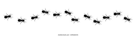 Ants Marching Images, Stock Photos & Vectors | Shutterstock