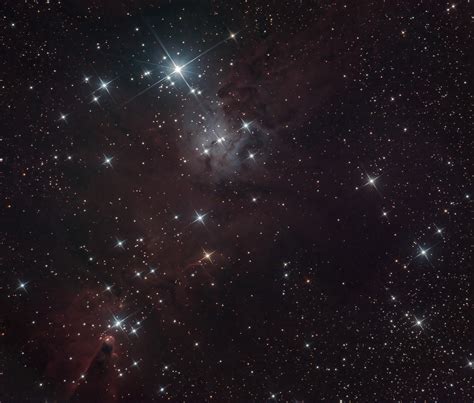 Cone Nebula and Christmas Tree cluster - Forthimage