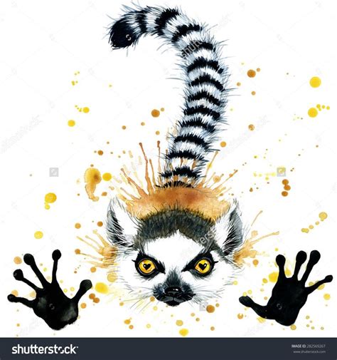 Funny Lemur T Shirt Graphics Funny Lemur Illustration With Splash Watercolor Watercolour