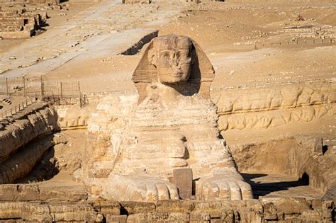 Sphinx Egypt Portrait Portrait Of Great Sphinx Of Egypt Close Egypt ...