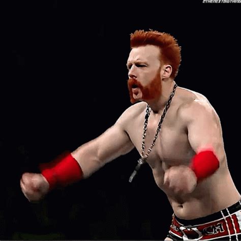 Sheamus Entrance Sheamus Entrance WWE Discover Share GIFs