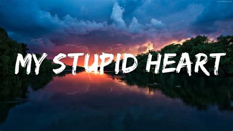 Walk Off The Earth Lauv My Stupid Heart Lyrics Lyrics Video YouTube