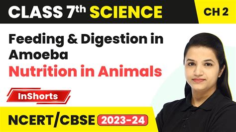 Feeding And Digestion In Amoeba Class Science Chapter Nutrition