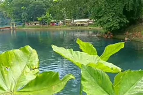 Danau Biru Di Ciomas Kabupaten Serang Banten Wisata Alam Unik Dengan