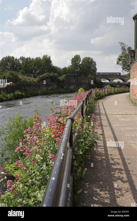 River Don in Attercliffe Sheffield, five weirs walk Stock Photo - Alamy