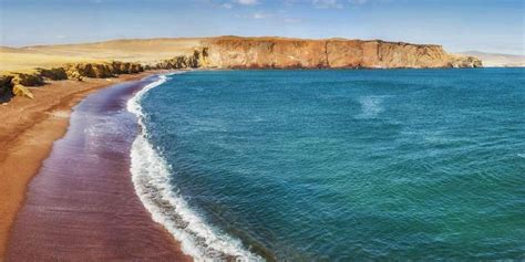 Ballestas Eilanden En Paracas Reservaat Hele Dag Ontsnappen