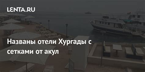 Названы отели Хургады с сетками от акул Мир Путешествия