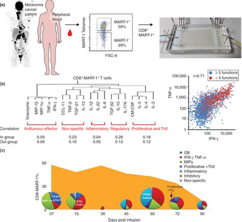 Integrated Facs Scbc Phenotypic Functional Proteomic Analysis Of