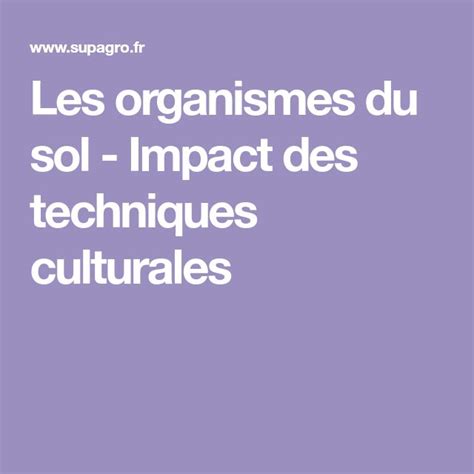 Les organismes du sol Impact des techniques culturales Les études