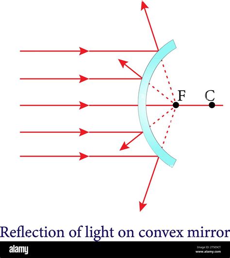 The reflection from convex and concave mirrors ,Reflection and ...