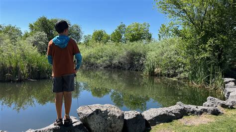 See the pond, fish the pond: The essential guide to urban/suburban ...