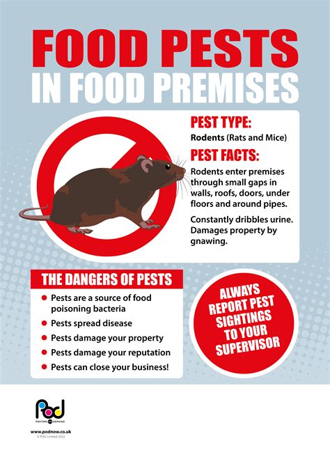 Food Pests Rat Pod Posters On Demand