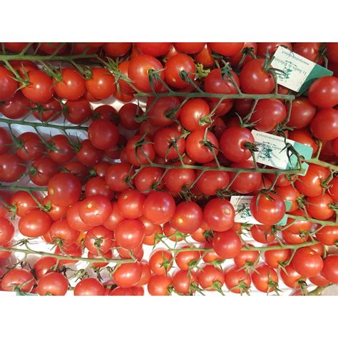 Tomate Cerise Rabelais G En Drive Chez Votre Primeur Aux Halles De