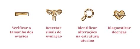 O Que Causa A Infertilidade Feminina Perfetto