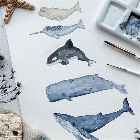 30 Best Whale Illustration Design Ideas You Should Check