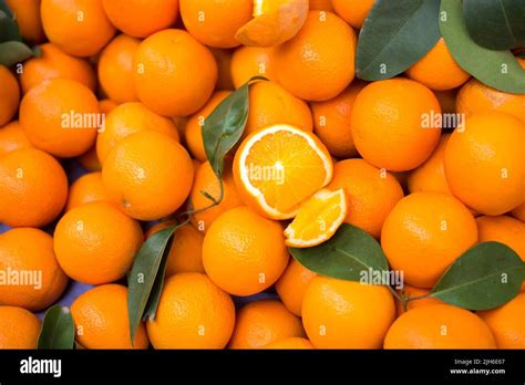 Fruit Load Hi Res Stock Photography And Images Alamy