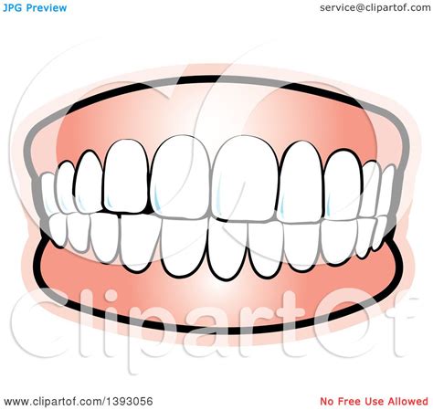 Clipart Of Upper And Lower Teeth Royalty Free Vector Illustration By