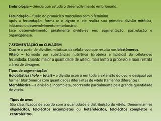 Embriologia PPT