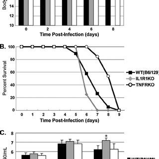 Characterization Of Mortality Weight Loss And Lung Viral Titers In