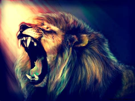 Lion Animal Wallpaper - Live Wallpaper HD | Lion wallpaper, Lion hd ...