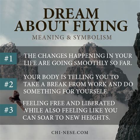 Dream About Flying - Spiritual Meaning & Symbolism (10 Scenarios)