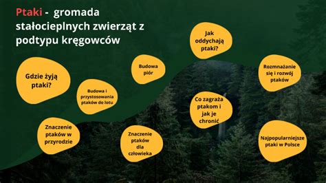 Ptaki Kręgowce Zdolne Do Lotu By Nadia Kaczmarek On Prezi