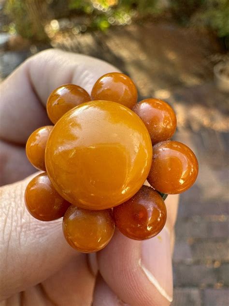 Rare Vintage Brass Butterscotch Egg Yolk Baltic Amber Gem