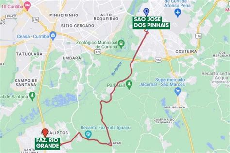 Nova linha de ônibus fará conexão direta entre São José dos Pinhais e