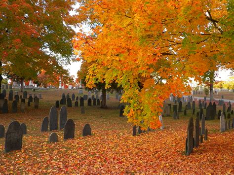 Laurel Hill Cemetery Reading Ma Lisa Mccauley Flickr