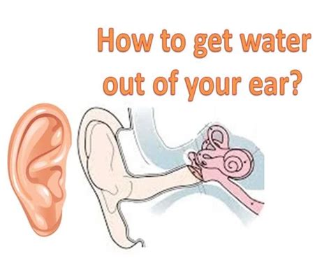 How To Get Water Out Of Your Ear