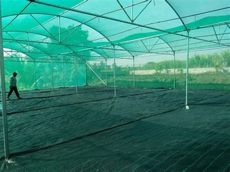 Polyester Modular Naturally Ventilated Polyhouse For Greenhouse At