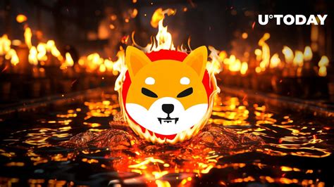 Shiba Inu (SHIB) Burn Rate up 235%, Potential Surge Ahead?