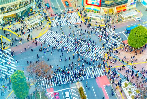 Visit Shibuya Crossing, Tokyo | Shibuya crossing, Japan travel, Tokyo