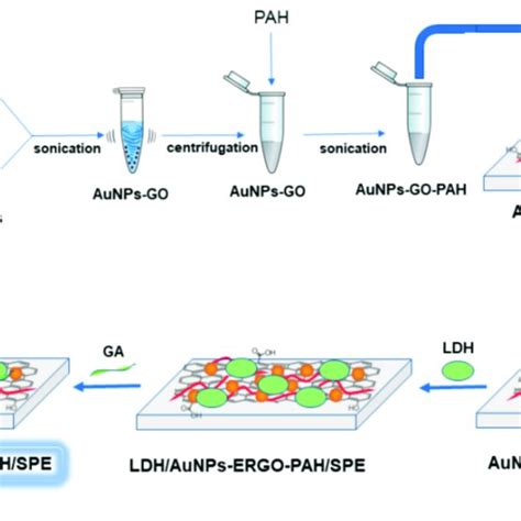 Schematic Representation Of The Ga Ldhaunps Ergo Pahspe Biosensor