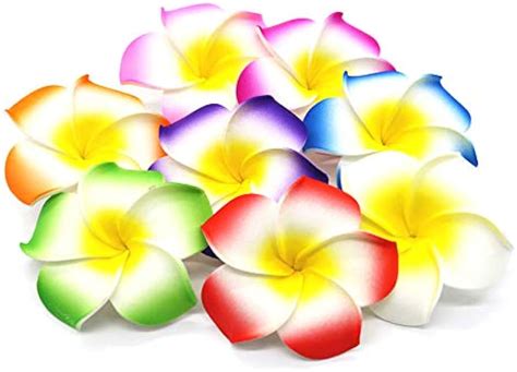 Hawaii Hair Clip Plumeria Flower Hair Clip 10 Packs 6 9 Cm Clip