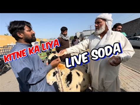 Kitne Ka Liya Live Soda Wednesday Sham Ki Update Qurbani