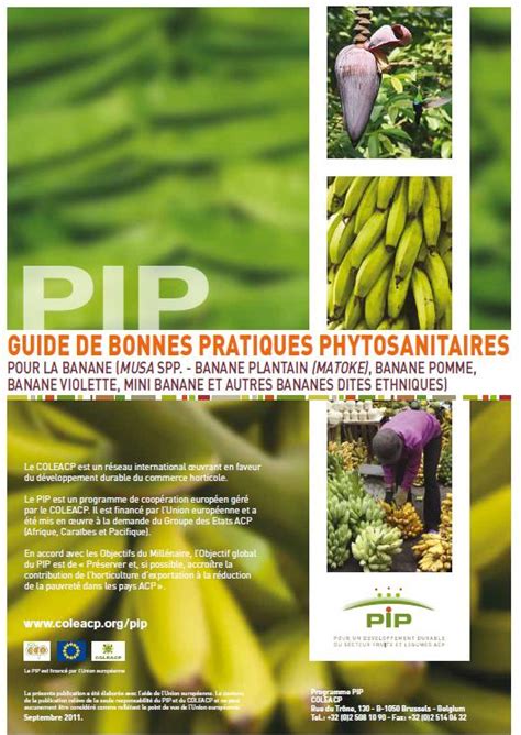 Guide Des Bonnes Pratiques Phytosanitaires Pour La Banane Coleacp PIP