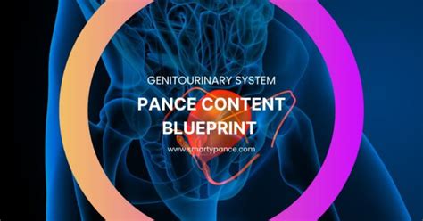 Smarty Pance Genitourinary System Linked Content Blueprint And