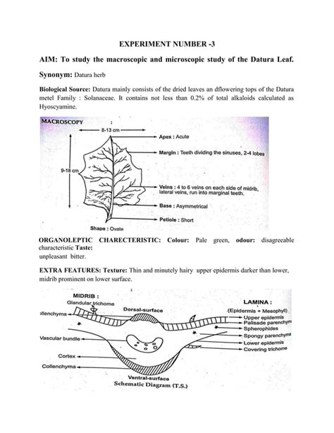 Practical Manual Of Pharmacognosy Diploma In Pharmacy St Year Pdf